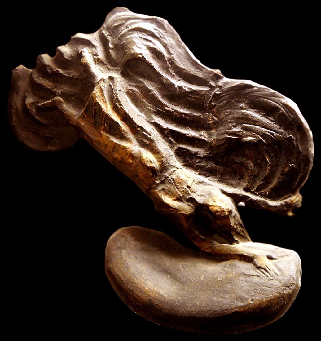 Creazione della Terra — scultura di Pasquale Lo Moro